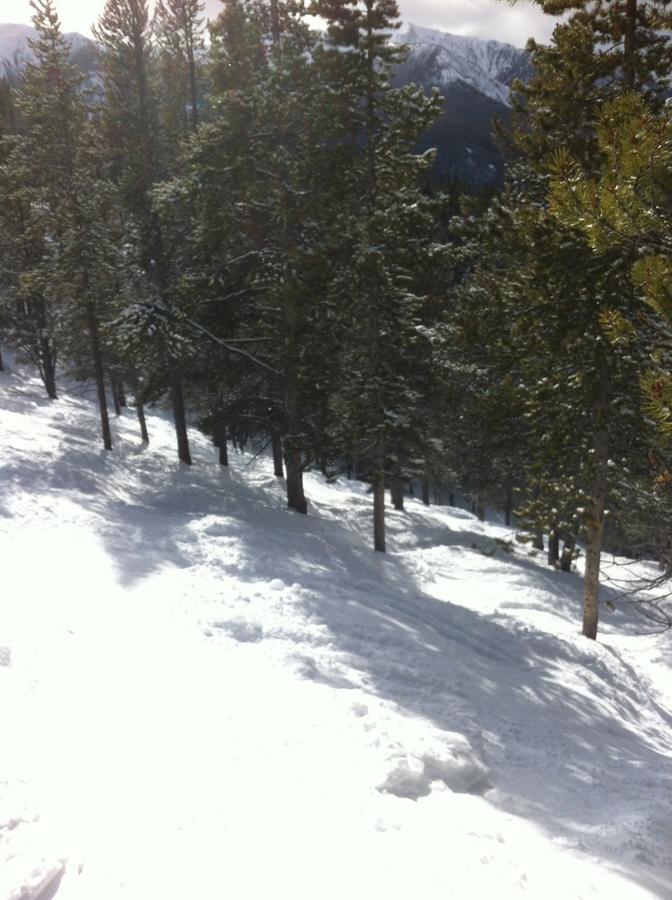Taynton Lodge At Panorama Mountain Village Resort מראה חיצוני תמונה